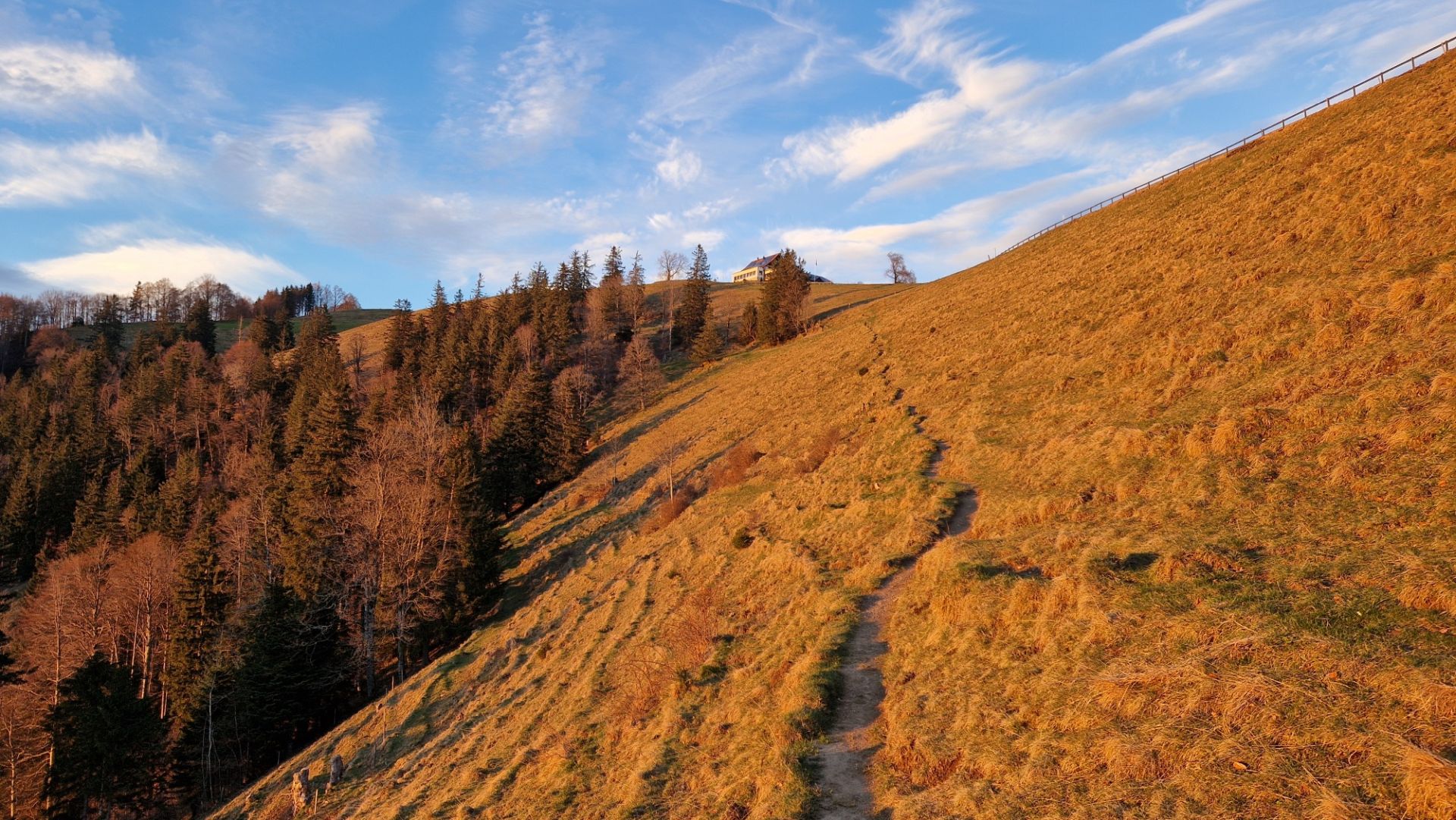 Fussweg Scheidegg Abendlicht Gd5ta5