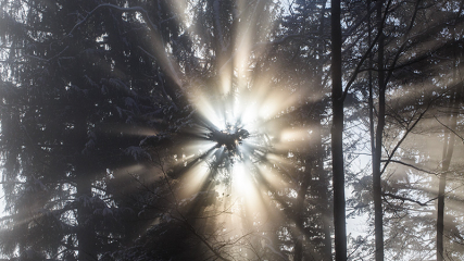 2017 01 03 happy new year ab1b5008